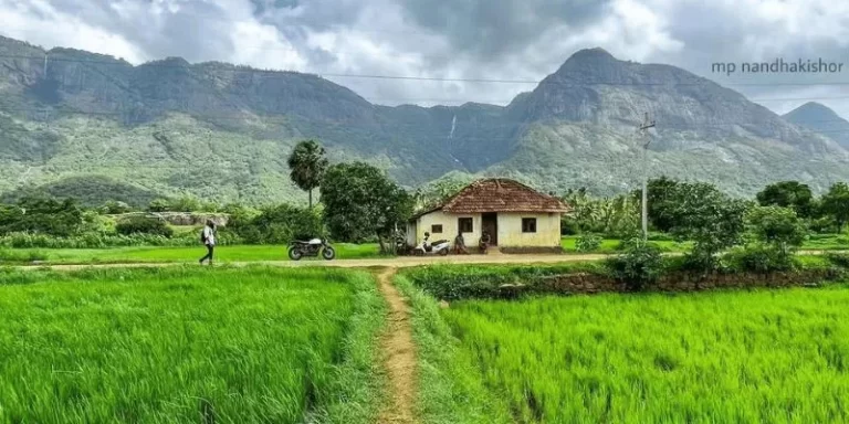 palakkad view