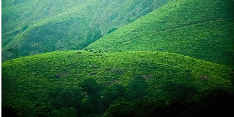 idukki